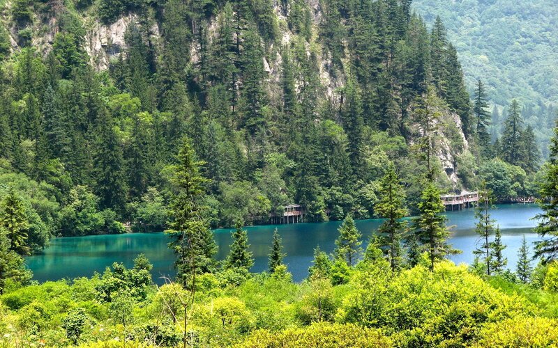 forest lake with turquoise water