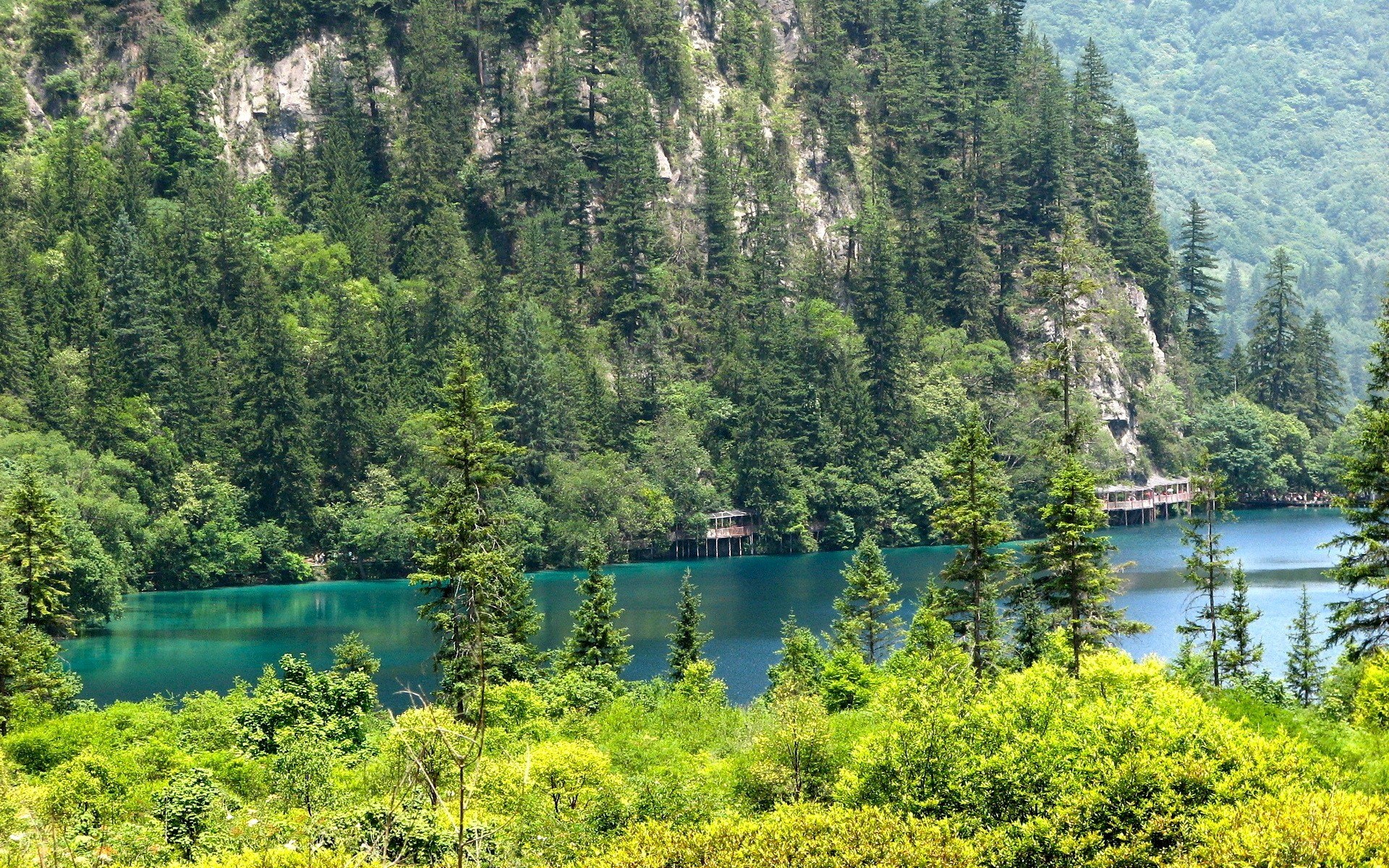 forest lake with turquoise water