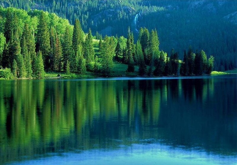 Forest lake with waterfall