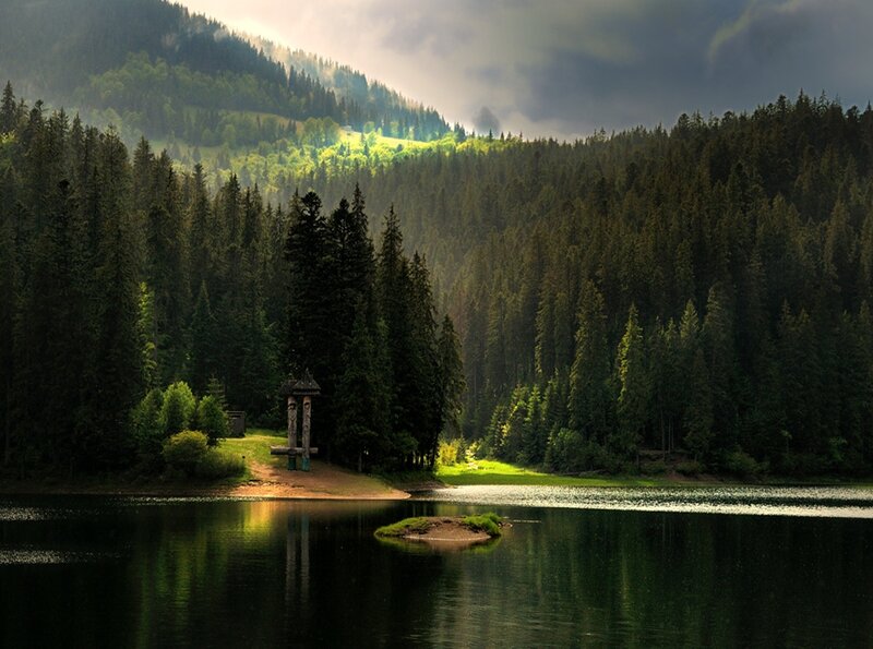Forest lake with wooden structure