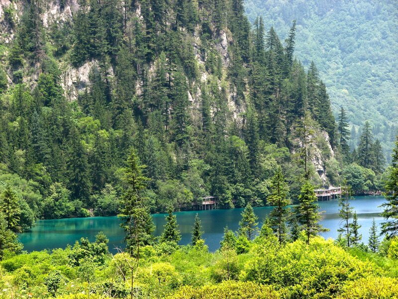 Forest lake with wooden walkway