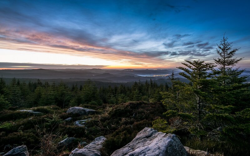 Forest Landscape at Dusk