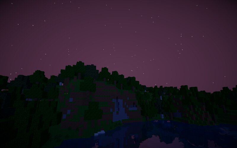 Forest Landscape at Night