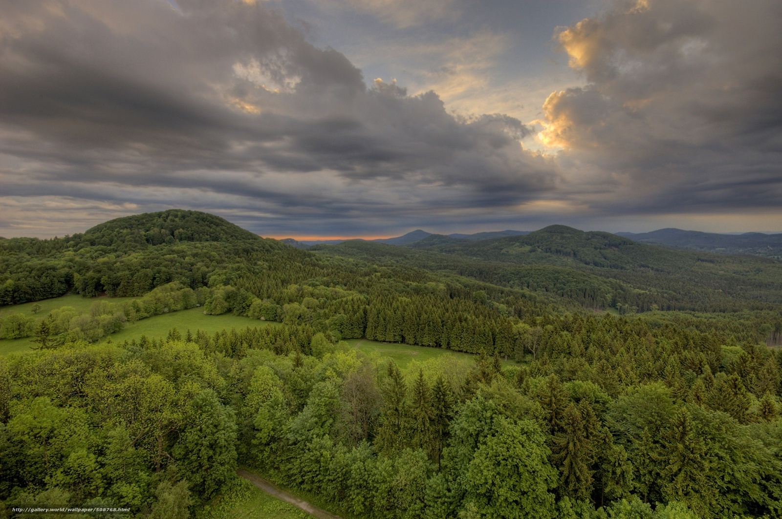 Forest landscape at sunset