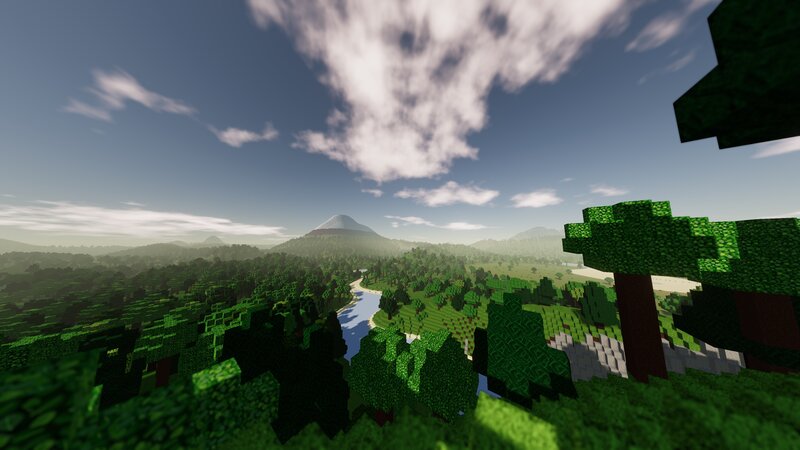 Forest Landscape in Game
