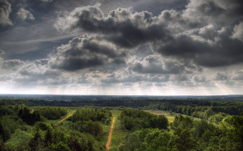 Forest Landscape under Stormy Sky — Green