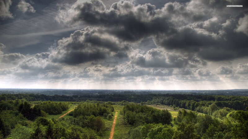 Forest Landscape under Stormy Sky