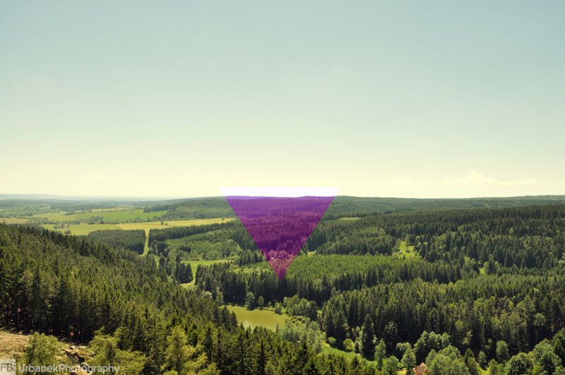 Forest Landscape View — Green
