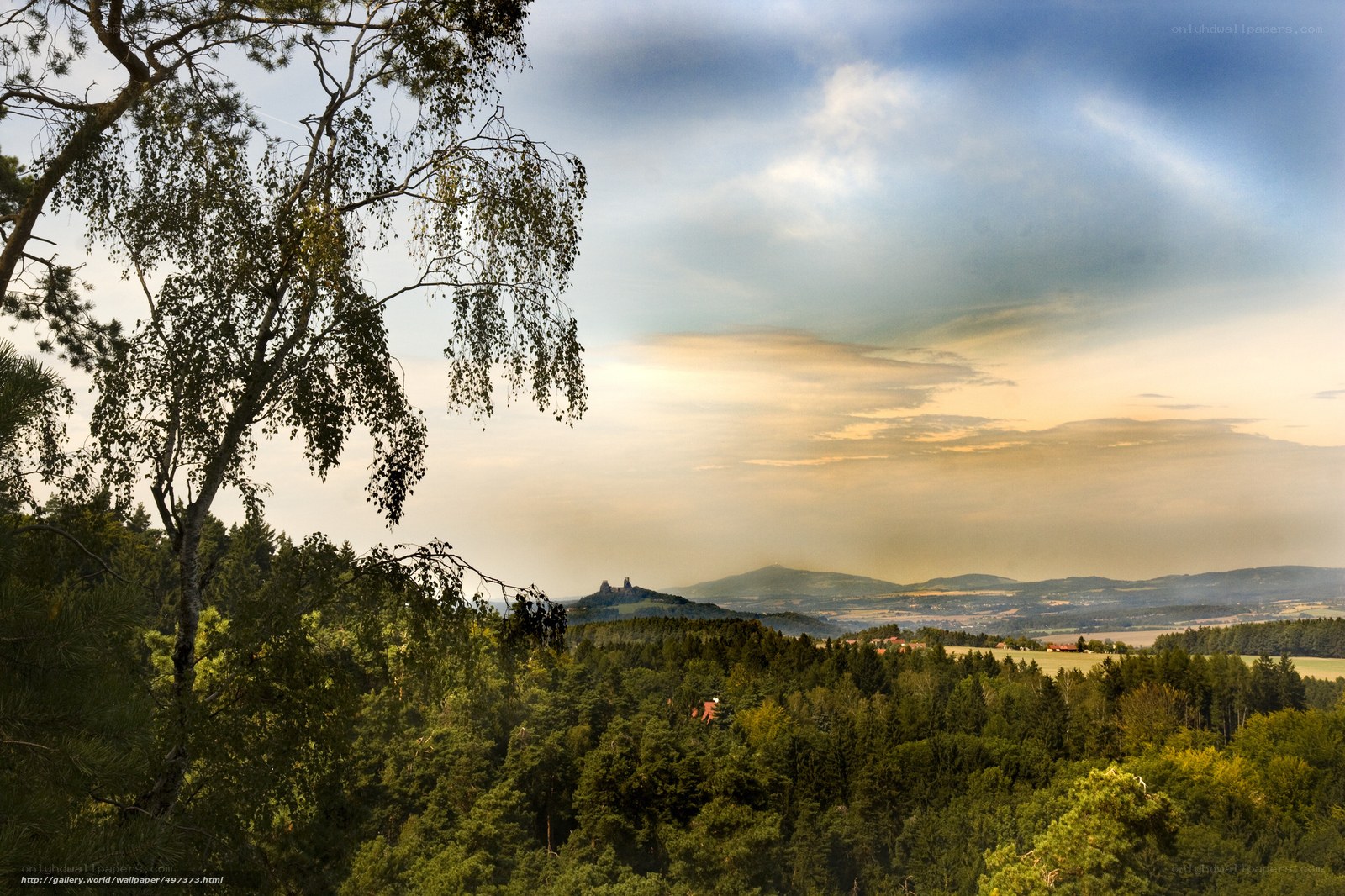 Forest landscape with castle ruins