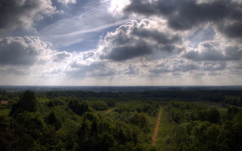 Forest Landscape with Clouds — Green