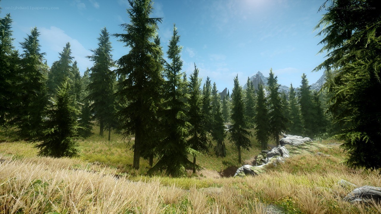 forest landscape with mountains