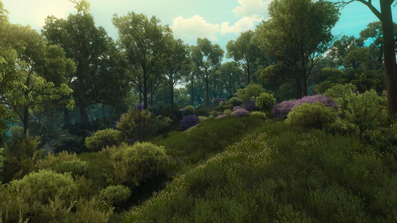 Forest Landscape with Purple Flowers