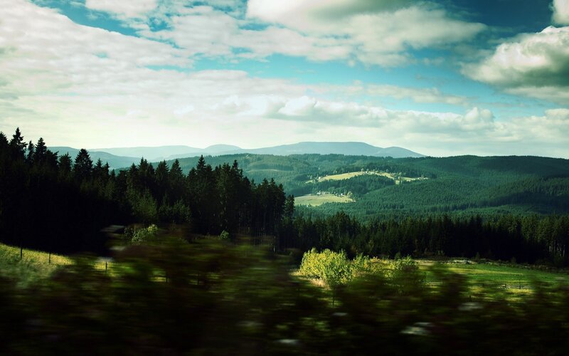 Forest landscape with rolling hills