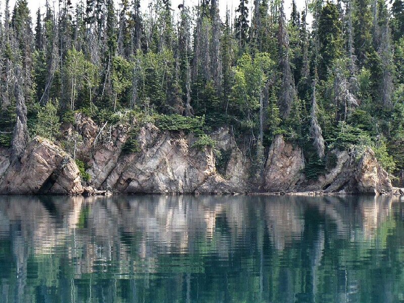 Forest-lined lake shore