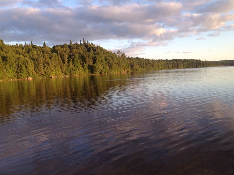 Forest-lined Lake