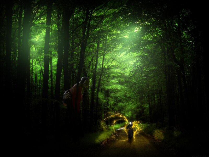 Forest magic duel
