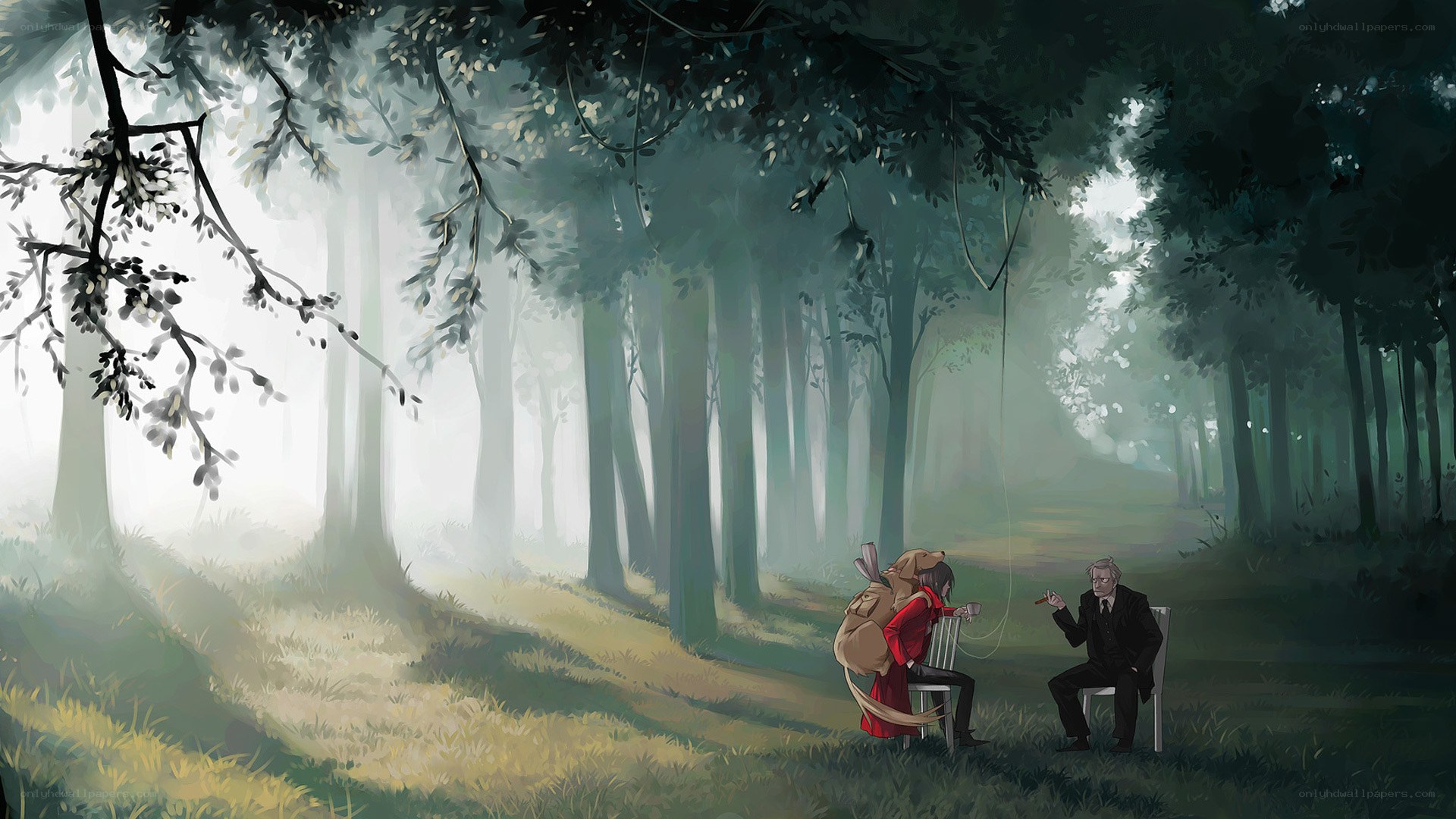 Forest meeting in mist