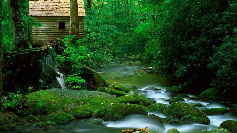 Forest mill by a stream