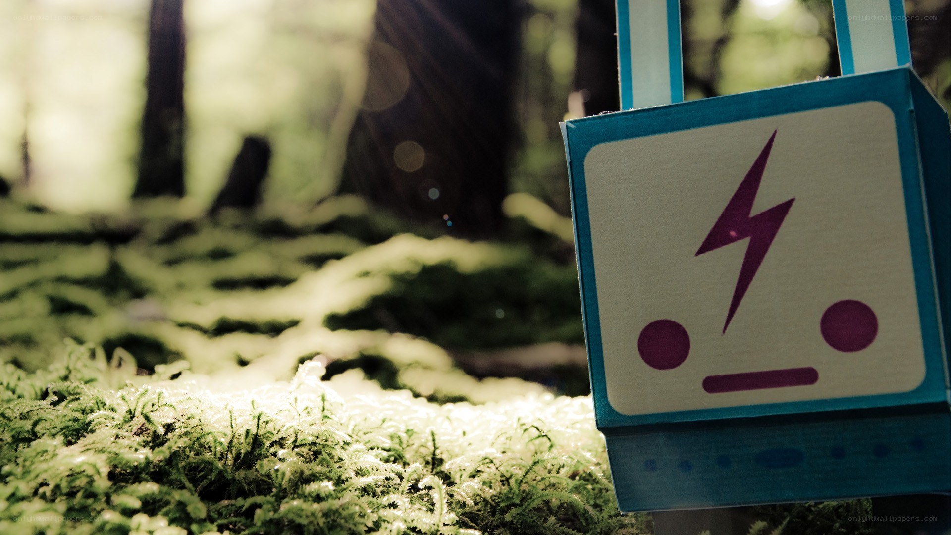 forest moss with robot sign