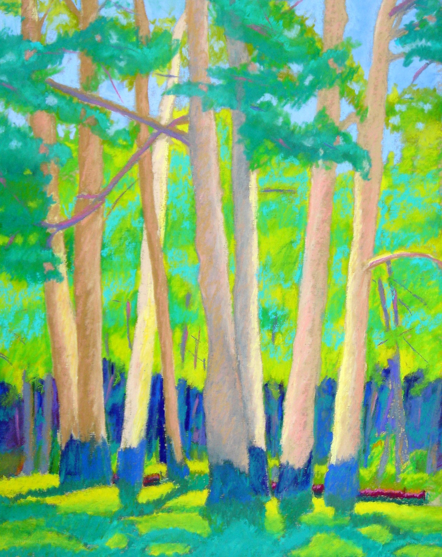 Forest of Tall Trees