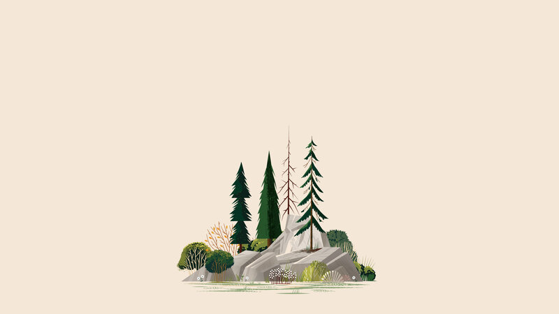 Forest on Rocky Outcrop
