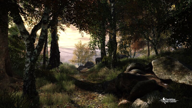 Forest Path at Dawn — Green, Serene