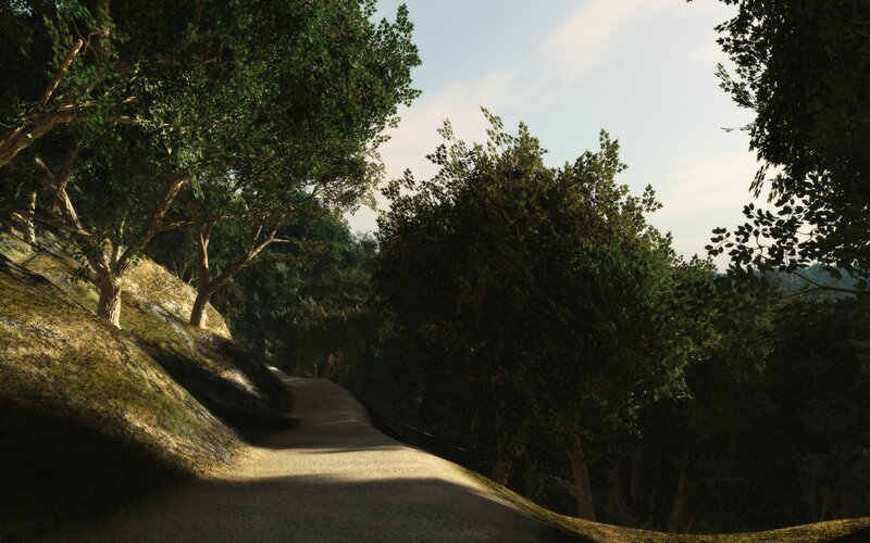 forest path at dusk