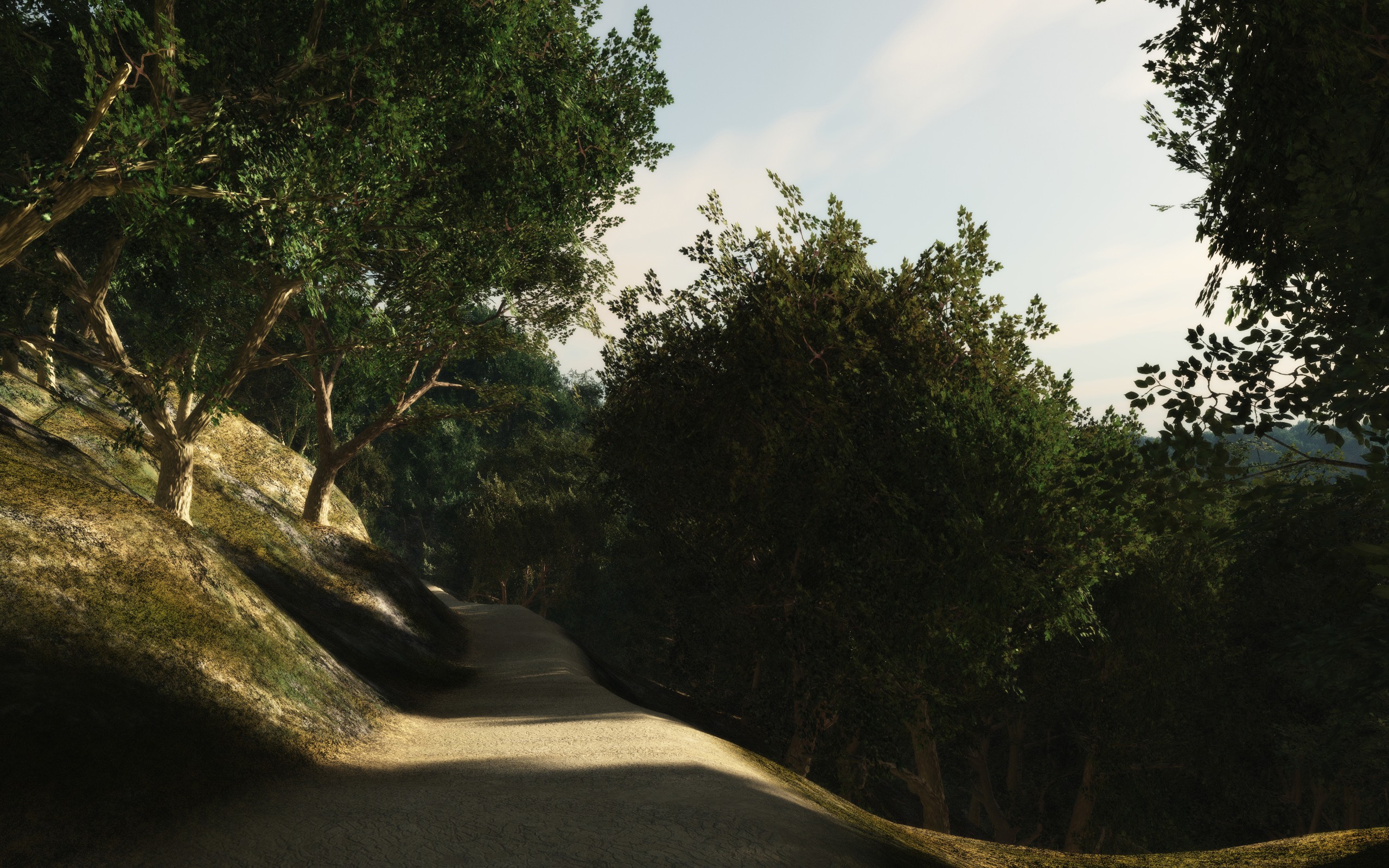 forest path at dusk
