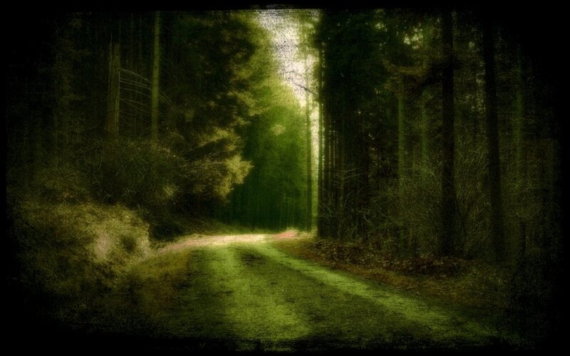 Forest Path at Dusk — Green, Dark