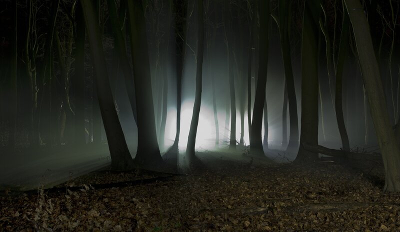 Forest Path at Night — Black, Dark