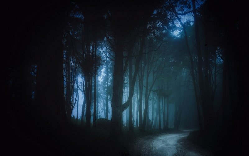 Forest Path at Night — Blue, Dark, Mysterious