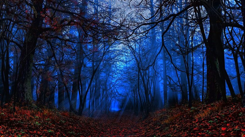 Forest Path at Night — Blue, Mysterious, Digital Art