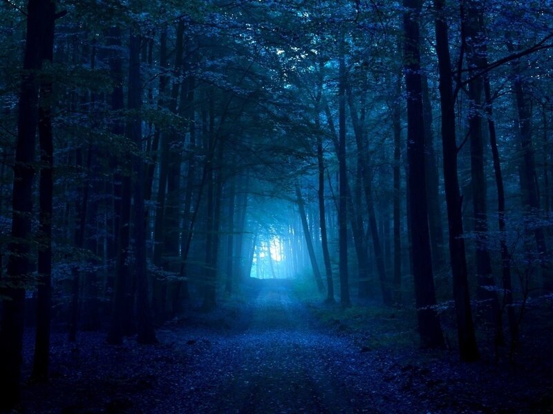 Forest Path at Night — Blue, Mysterious, Photograph
