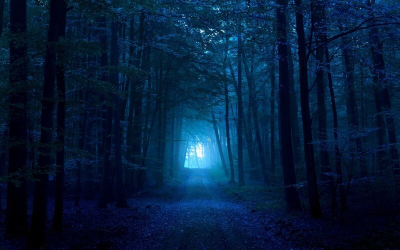 Forest Path at Night — Blue, Mysterious, Photograph, Trees, Light