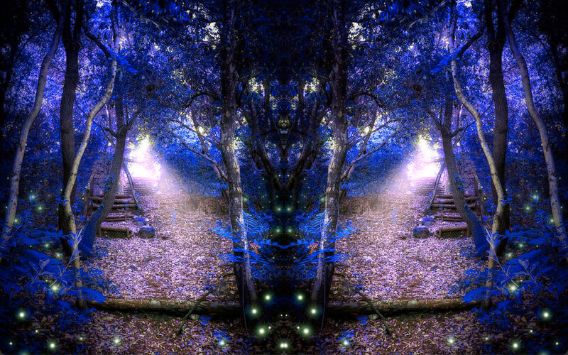 Forest Path at Night — Blue, Mystical