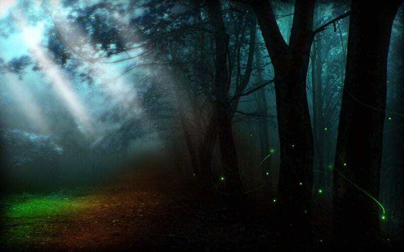 Forest Path at Night — Green