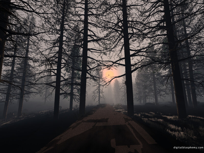 Forest path at sunrise