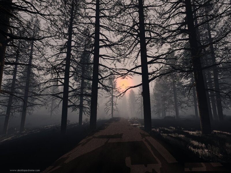 Forest Path at Sunrise — Gray