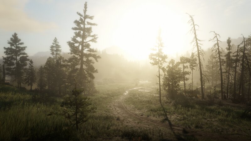 Forest Path at Sunrise — Green, Serene, 3d Render