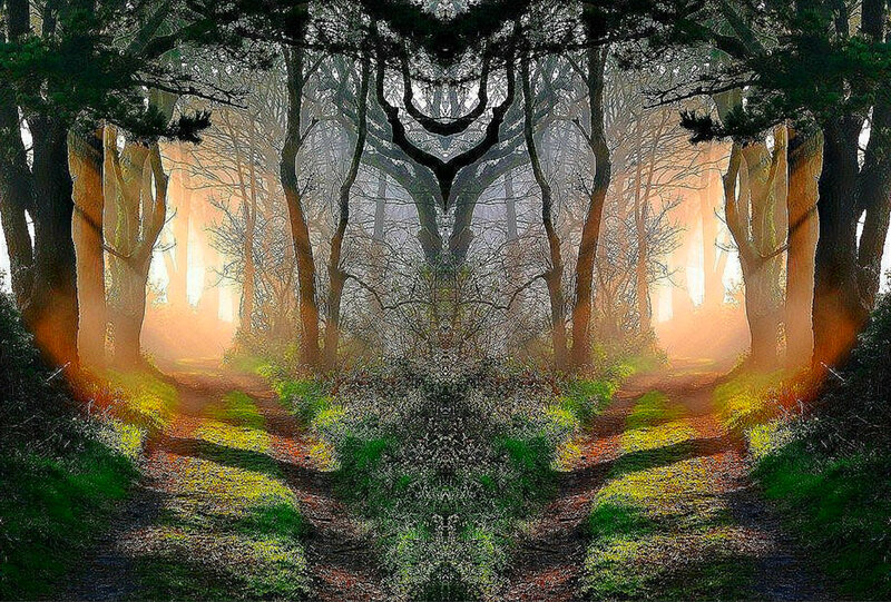 Forest Path at Sunrise — Green, Serene, Digital Art