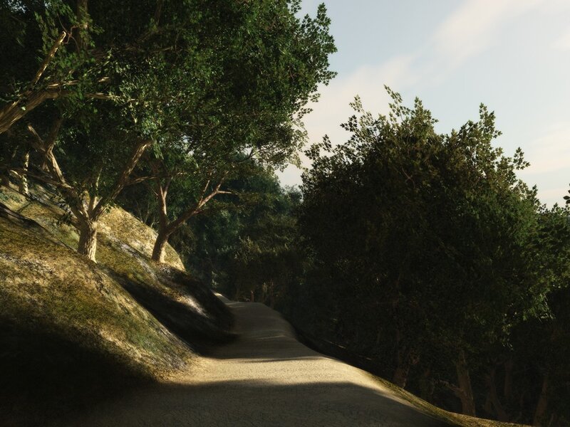Forest path at sunset