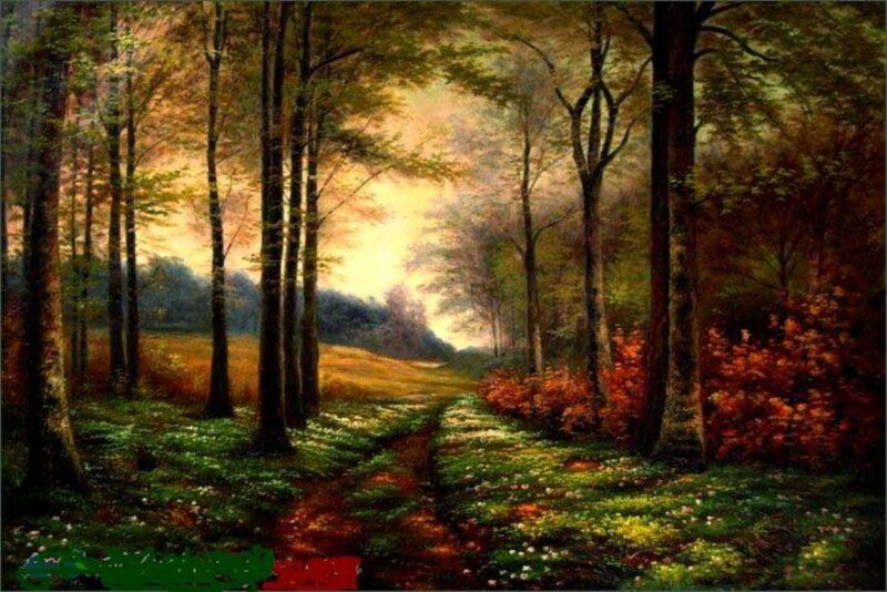 Forest Path at Sunset — Green