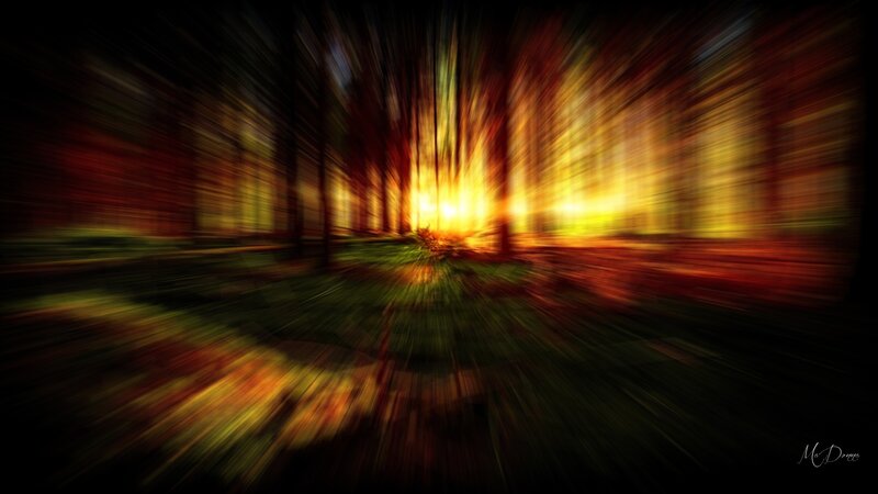 Forest Path at Sunset — Yellow