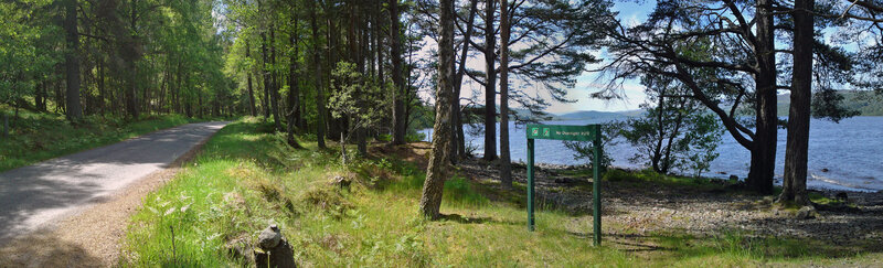 Forest path by a lake