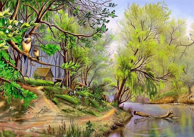Forest path by a river