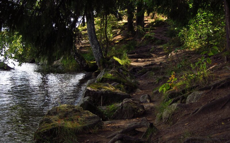Forest Path by Lake — Green, Serene, Afternoon, Photograph, Trees, Rocks, Water