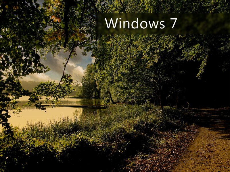 Forest Path by Lake — Green, Serene, Afternoon, Photograph, Trees
