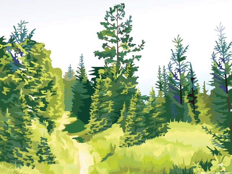 forest path illustration