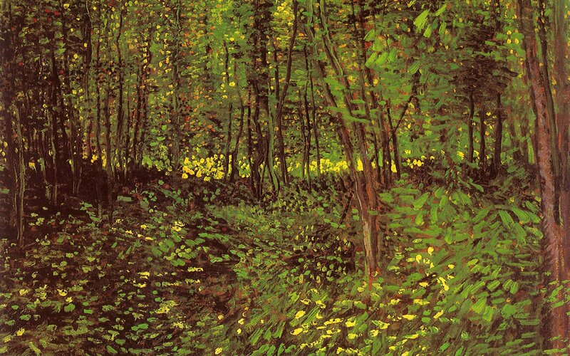 Forest Path in Autumn