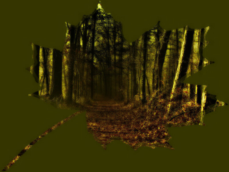 Forest Path in Autumn — Green, Mysterious